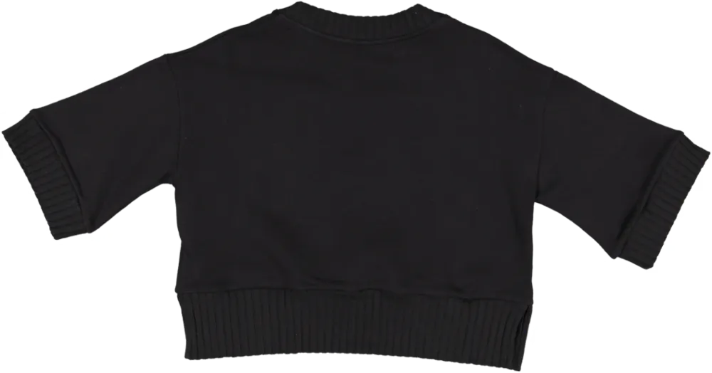 221-BANJO TOP-17